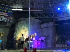 -清迈夜间动物园