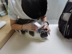 -谐和贝康宠物医院24小时·宠保定点(急重症转诊中心)