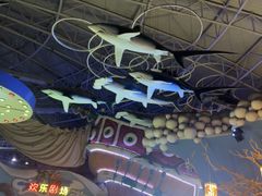 -烟台海昌鲸鲨海洋公园