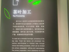 -中国茶叶博物馆(双峰馆区)