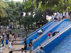 -宝安西湾红树林湿地公园