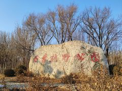 -西青郊野公园