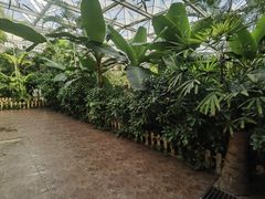 -忆江南·生态餐饮宴会酒店