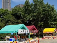 -大望京公园