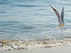 -海云台海滩