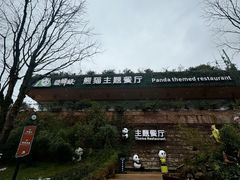 -熊猫主题餐厅