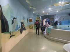 -台州海洋世界