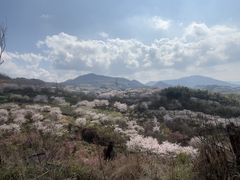-四明山国家森林公园