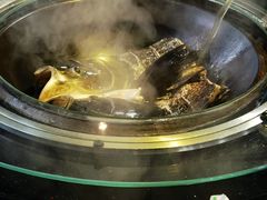 -好灶头妈妈菜·柴火灶台鱼·千岛湖土菜地标美食