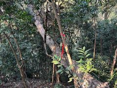 -东南悬空寺方广岩