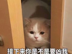 -麦当劳(世纪汇广场店)