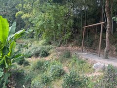 -塔川景区