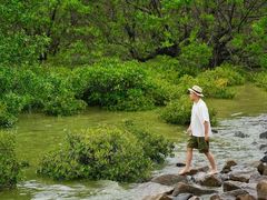 -宝安西湾红树林湿地公园