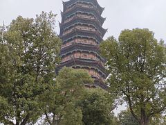 -葛仙湖公园