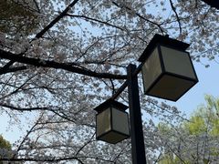 -范蠡湖公园