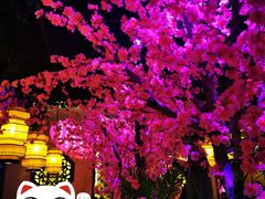 -今朝桃花醉川菜小酒馆(龙湖天街店)