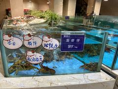 水产区-旺顺阁海鲜广场(亚运村店)