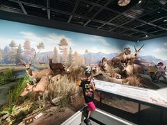 -陕西自然博物馆