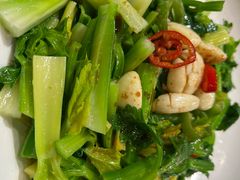 水果芹菜-梧桐庄园