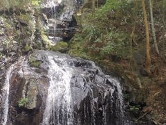 -藏龙百瀑风景区