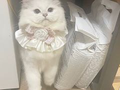-瑞鹏宠物医院·骨科·猫科·内科(第一中心)