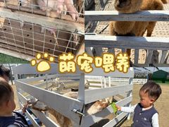 -上海山野camping·户外天幕烧烤·团建拓展营地