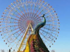 -七彩云南欢乐世界