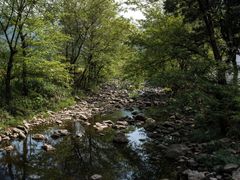 -花岩国家森林公园