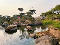 -罗红摄影艺术馆