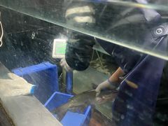 -鱼酷活鱼烤鱼(南京水游城店)