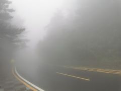 -庐山风景区花径公园