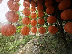 -伴山茶苑·一盏冰茶·半日山居