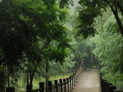 -重庆彩云湖湿地公园