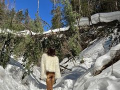 -峡谷浮石林景区