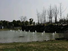 -滆湖低碳生态公园