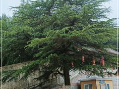 -石岛赤山风景区