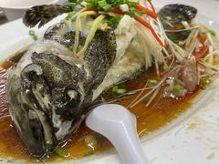 清蒸老鼠斑-凤城康记饭店