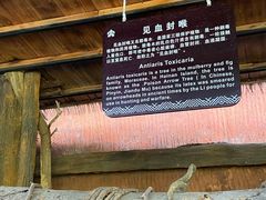 -海南槟榔谷黎苗文化旅游区