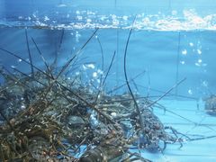 -富黎华海鲜大酒楼(正大广场店)