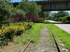 -永定河休闲森林公园