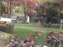 -亮马河饭店翠雅咖啡厅