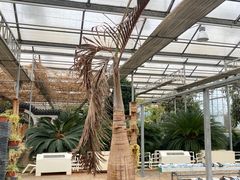 -陆地游轮吉林神农温泉