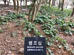 -雪绿茶博物馆
