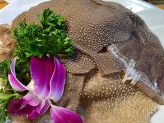 水牛刷毛肚-草原塞蛮羊火锅城(港湾店)