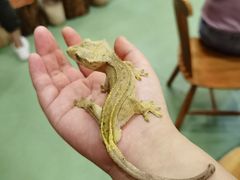 -藦茜花园宠物主题亲子互动体验馆(国顺东路店)