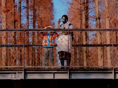 -黄海国家森林公园