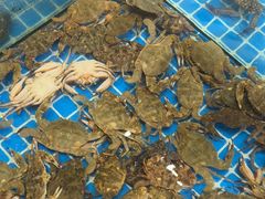 -木柴豆腐·活海鲜·鲁菜(岚山路店)