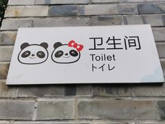 -都江堰中华大熊猫苑