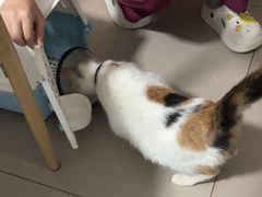 -艾贝尔宠物医院 ·中兽医·宠保定点(北门桥店)