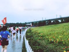 -秀丽东方